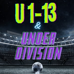 View Form 1-13 and Under Division